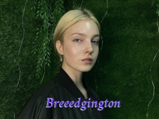 Breeedgington