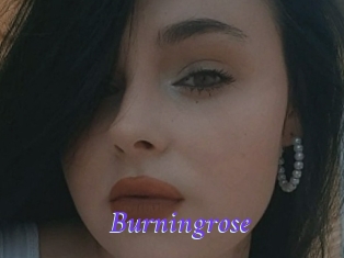 Burningrose