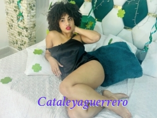 Cataleyaguerrero