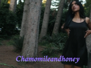 Chamomileandhoney