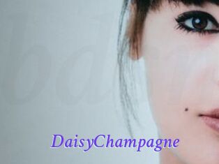 DaisyChampagne