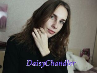 Daisy_Chandler