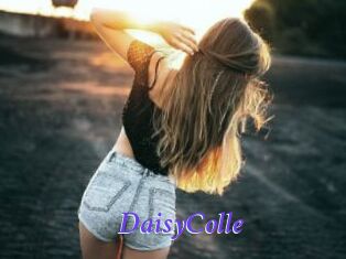 DaisyColle