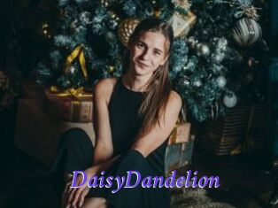 DaisyDandelion