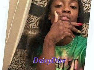 DaisyDior