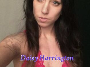 Daisy_Harrington