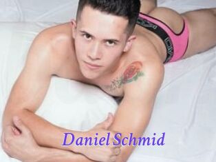 Daniel_Schmid