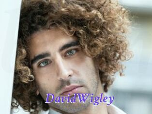 DavidWigley