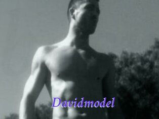 Davidmodel