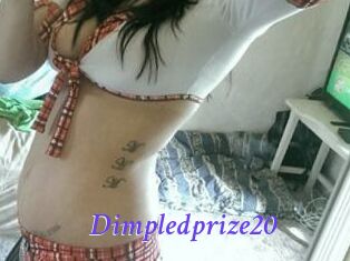 Dimpledprize20