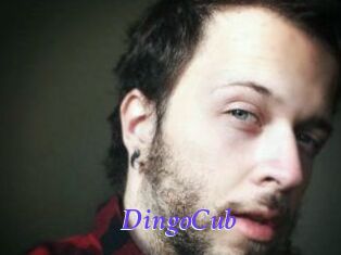 DingoCub