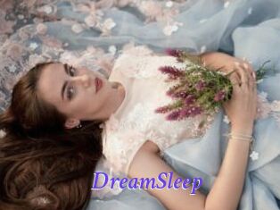 DreamSleep