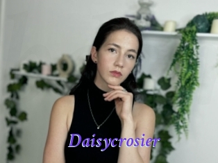 Daisycrosier