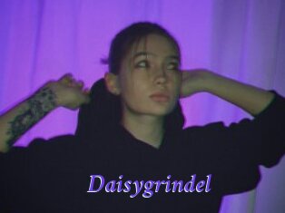 Daisygrindel