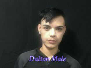 Dalton_Male