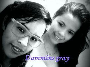 Dammins_gray