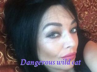 Dangerous_wild_cat