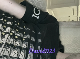 David1123