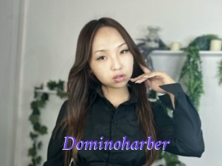 Dominoharber