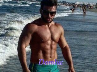 Domluc