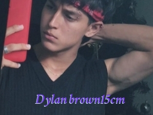 Dylan_brown15cm