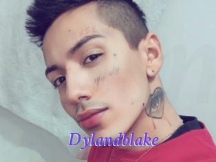 Dylandblake