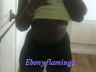 Ebony_flamingo