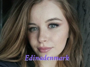 Edinadenmark