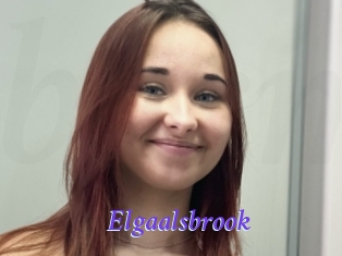 Elgaalsbrook