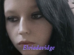 Elviadavidge