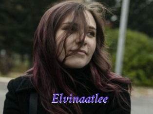 Elvinaatlee