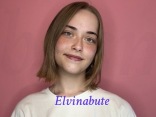 Elvinabute