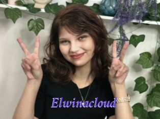 Elwinacloud