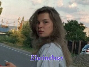 Elwinebuss