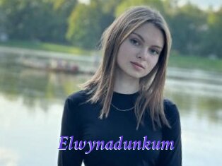 Elwynadunkum