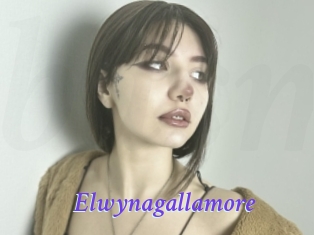 Elwynagallamore