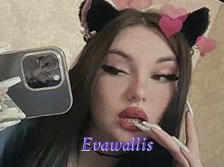 Evawallis