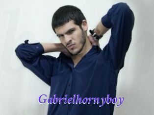 Gabrielhornyboy