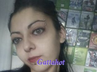 Gattahot