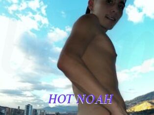 HOT_NOAH