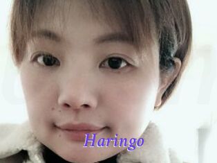 Haringo