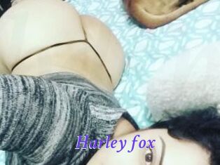 Harley_fox