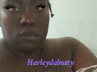 Harleydabusty