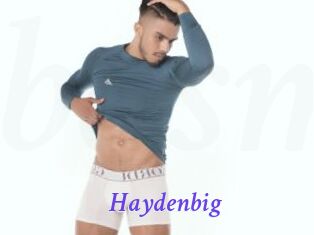 Haydenbig