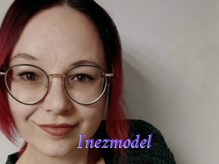 Inezmodel