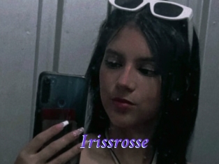 Irissrosse