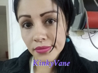 KinkyVane