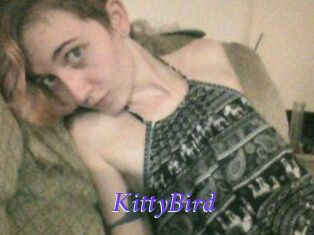 KittyBird