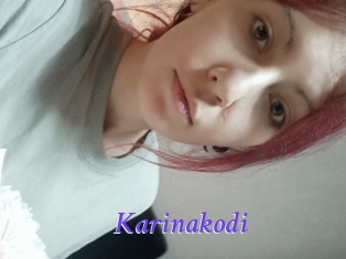 Karinakodi