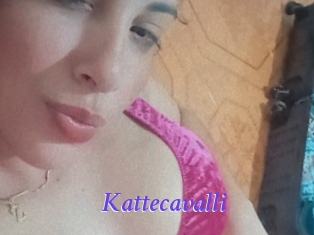 Kattecavalli